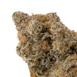 MiracleAllenCookies-LuckyFarms-03