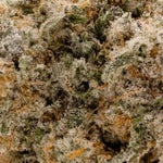 MiracleAllenCookies-LuckyFarms-03