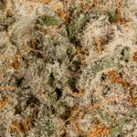 MiracleAllenCookies-LuckyFarms-03