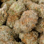 Papaya-LuckyFarms-01