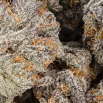 PeanutButterRockstar-LuckyFarms-02