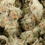 PineappleExpressSmalls-LuckyFarms-02