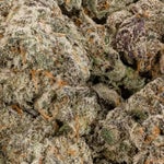 PinkPanties-LuckyFarms-02 copy 1