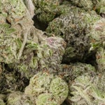 Rockstar-LuckyFarms-02