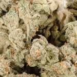 RockstarSmalls-LuckyFarms-02