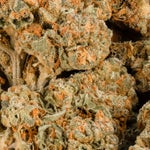 IcecreamCakeSmalls-01