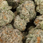 SkywalkerOGSmalls-02