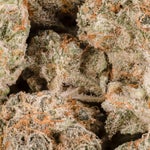 SunsetMandarin-LuckyFarms-02