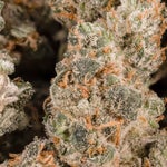 SunsetMandarinSmalls-LuckyFarms-02