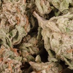 SunsetSherb-LuckyFarms-03