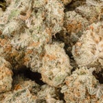 SuperSilverHazeSmalls-LuckyFarms-02