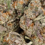 TomFord-LuckyFarms-01