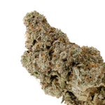 TropicalRuntz-LuckyFarms-03