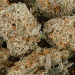 WhiteFireOGSmalls-LuckyFarms-02