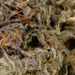 ChemicalPunchIndica-03