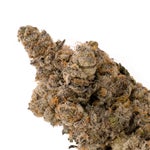 PeanutButterRockstar-03