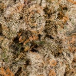 PeanutButterRockstar-03