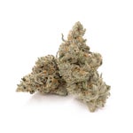 ZainbowSativaDominantHybrid-03