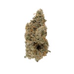 ZainbowSativaDominantHybrid-03