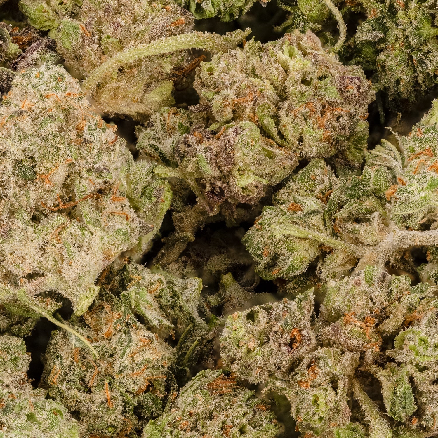 Zkittlez-03