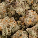 AmesiaHazeSmalls-LuckyFarmsSmalls-02