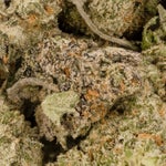 ChemdawgSmalls-LuckyFarmsSmalls-02