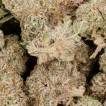 PlatniumBlackberrySmalls-LuckyFarmsSmalls-02