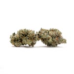 PunchDog-Albatross-03