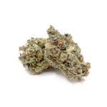 PunchDog-Albatross-03