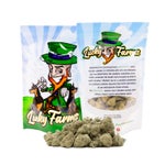 SuperSilverHazeSmalls-LuckyFarms-02