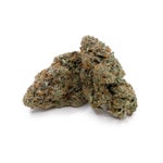 ApricotStomper-Albatross-08