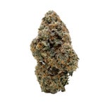 ApricotStomper-Albatross-08