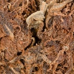 Black Diamond (1oz and 3oz)