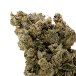 Crunchyberry-Hoot-07