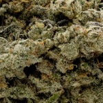 Crunchyberry-Hoot-07