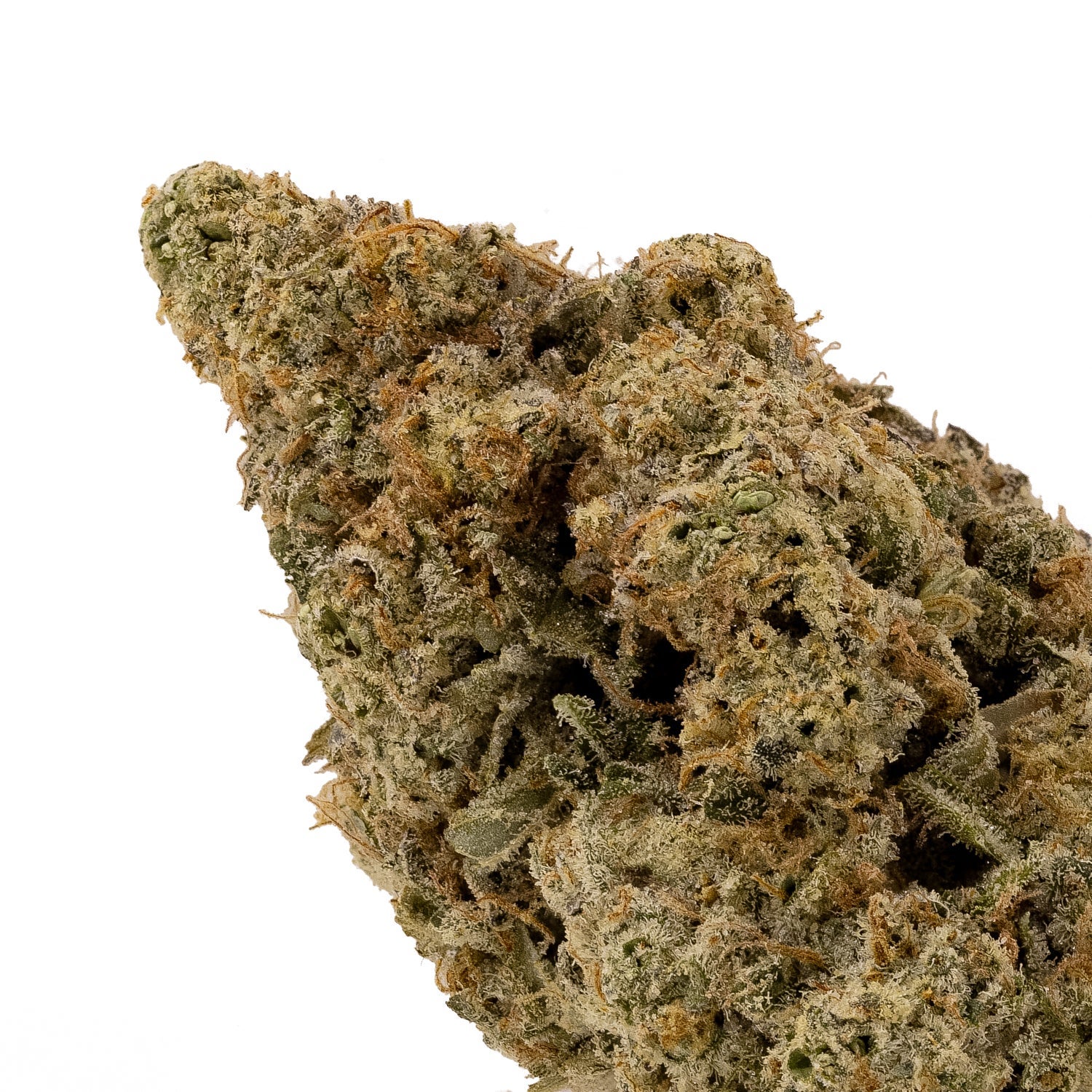 GrapefruitHaze-Hoot-04