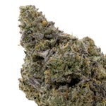 IceCreamCake-Hoot-07