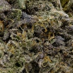 IceCreamCake-Hoot-07