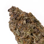 IceCreamZundae-Hoot-07