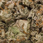 IceCreamZundae-Hoot-07