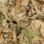 IceCreamZundae-Hoot-06