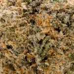 InfernoMac1-LuckyFarms-03