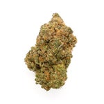 JungleRidge-Galactic-Gas-01