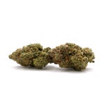 JungleRidge-Galactic-Gas-01