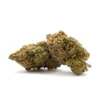 JungleRidge-Galactic-Gas-01