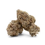 JungleRidge-Guava-01