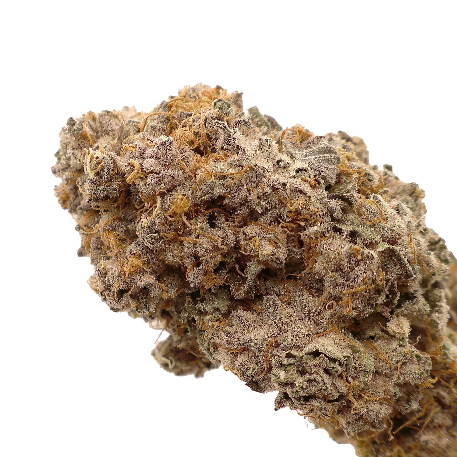 JungleRidge-Guava-04