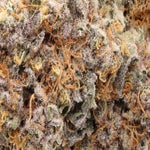 JungleRidge-Guava-01