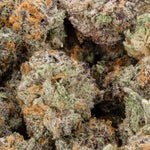 LongIslandRockstarSmalls-LuckyFarms-02