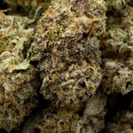 LuckyFarms-Gorilla-Glue-5-01